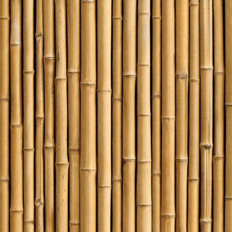 bambus sichtschutz banner sale