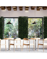 Sichtschutz Pflanzenwand im Restaurant