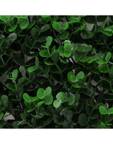 Sichtschutz Pflanzenwand Green Vue Nahaufnahme