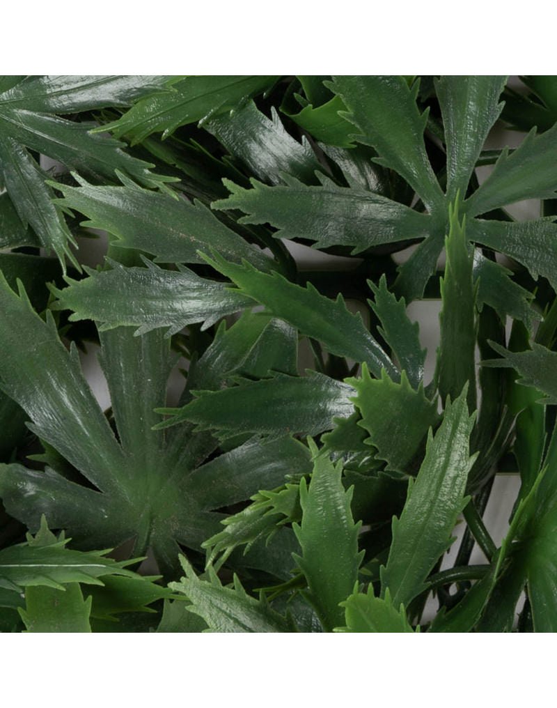 Sichtschutz Pflanzenwand Jada Leaf Nahaufnahme